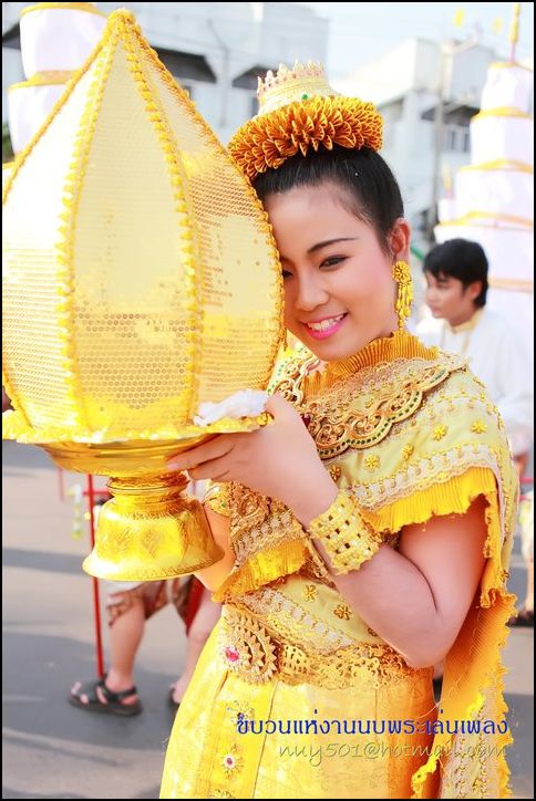 new2011 (1)